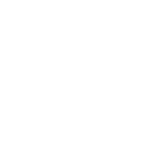 brain